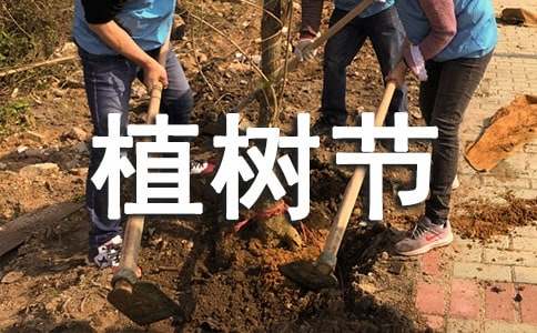 植树节的古诗
