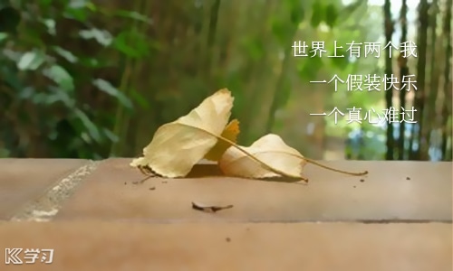 思念名人语录