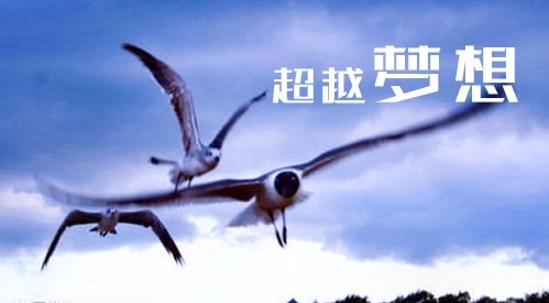 追求理想名人语录