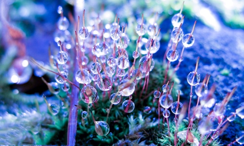 平安夜圣诞节祝福语简短90句