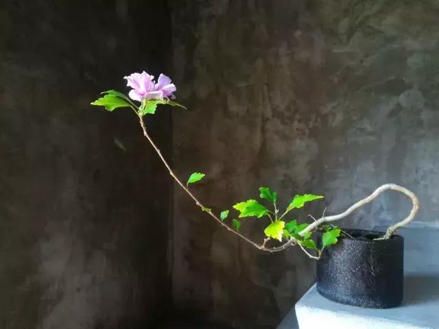 给岁月，留一份温暖和珍重